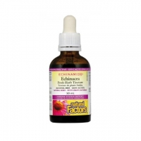 NATURAL FACTORS ЕХИНАЦЕЯ 50 МЛ. БЕЗ АЛКОХОЛ